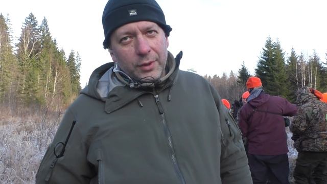 Охота на лося, но вышли кабаны. С камерами не везет, как с этим бороться? смотреть онлайн