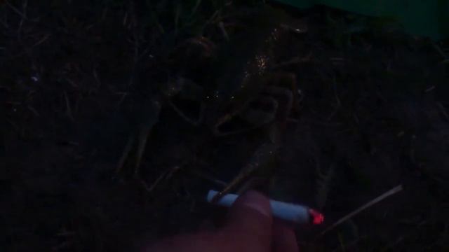 Рак курит смотреть онлайн