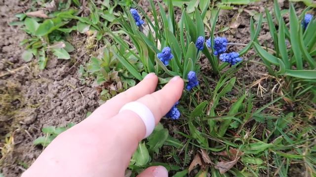 КАКИЕ КНИГИ Я БУДУ ОТДАВАТЬ? ⭐ Поездка на дачу ⭐ смотреть онлайн