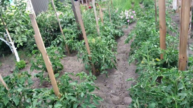 Дача в конце июня смотреть онлайн