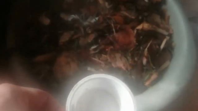 Как Приготовить Мюсли Из Щепок? смотреть онлайн