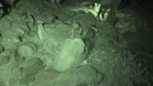 24 часа в ПУСТЫНЕ, чтобы ВЫЖИТЬ! Челлендж от МАСЛЕННИКОВА