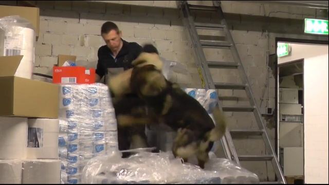 Пайк, двоюродный дед