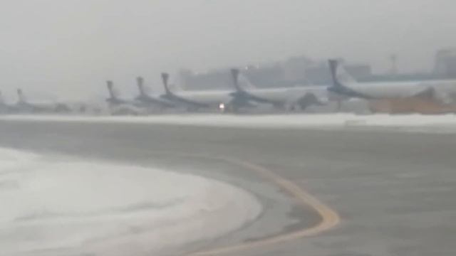 Посадка в аэропорту Домодедово (DME) Airbus A321 а/к S7 Airlines. смотреть онлайн