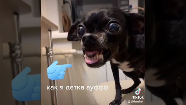 чё за лев этот тигр смотреть онлайн