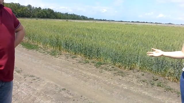 Дороги Красного Колоса для многодетных! смотреть онлайн