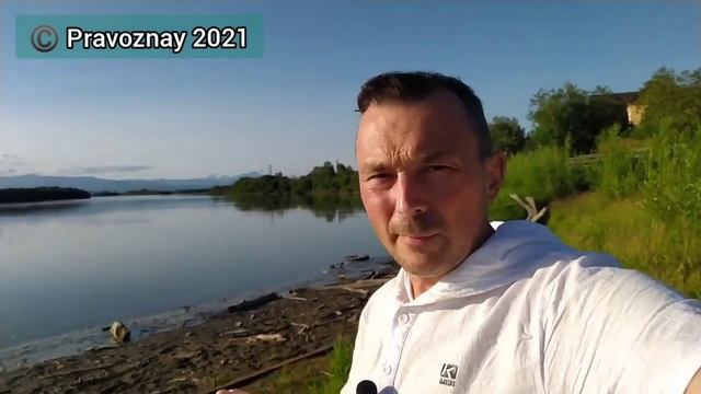 Работа в черную. Как защитить права работника при неофициальном трудоустройстве смотреть онлайн
