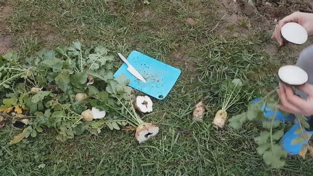 Ремонтные Волшебства