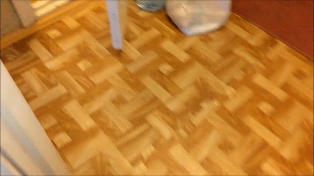 Ориентальная кошка Мася смотреть онлайн