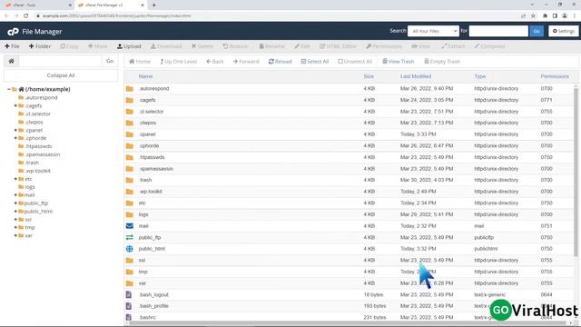 How to edit .ht(Hypertext) access file through cPanel File manager with GoViralHost смотреть онлайн