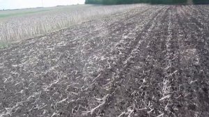 Обработка поля почвофрезой. Тестируем новую почвофрезу.