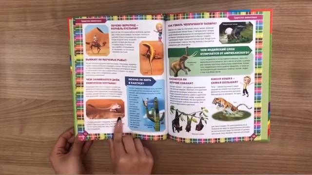 Книга маленького эрудита в вопросах и ответах. Детская энциклопедия смотреть онлайн