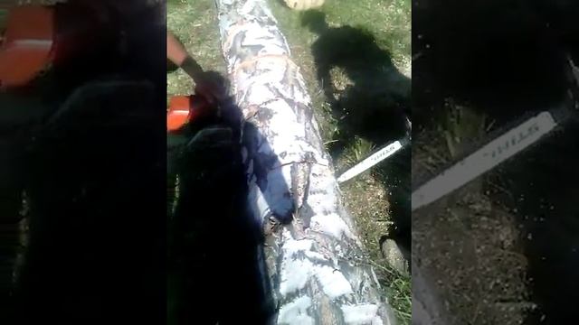 Штиль: 440//361 В действии..! смотреть онлайн