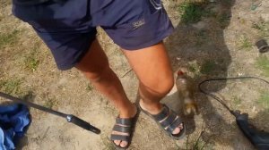 как вытащить клинья, шкворня на ГАЗели