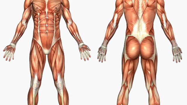 Benefits and uses of omega 3 in Nepali.#omega.#health смотреть онлайн