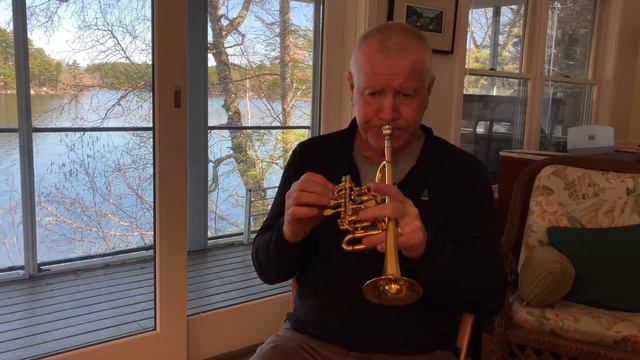 Albinoni: Sonata in D (flute) Mvt. 1 - Grave/Adagio. COVID Video Project No. 293. смотреть онлайн