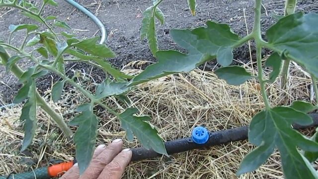 Варианты капельных систем смотреть онлайн