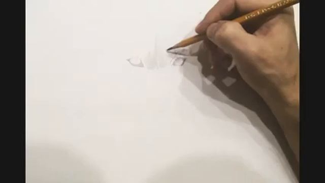 Рисуем быстро. Уссурийский тигр. смотреть онлайн