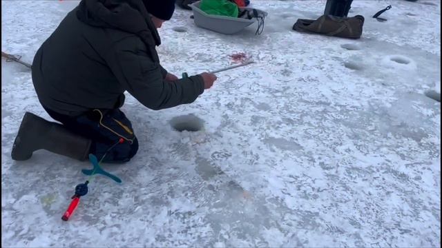 Поимки спорт зона смотреть онлайн