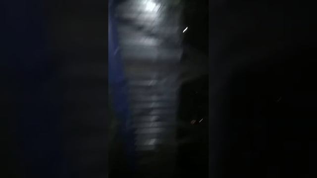 Крысы в Москве. смотреть онлайн