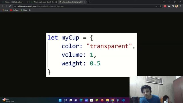 step 1 of 29 Install react router dom Adopt a pet! Codecademy Javascript смотреть онлайн