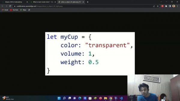 step 1 of 29 Install react router dom Adopt a pet! Codecademy Javascript