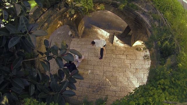Capoeira Israel - The Three Musketeers смотреть онлайн