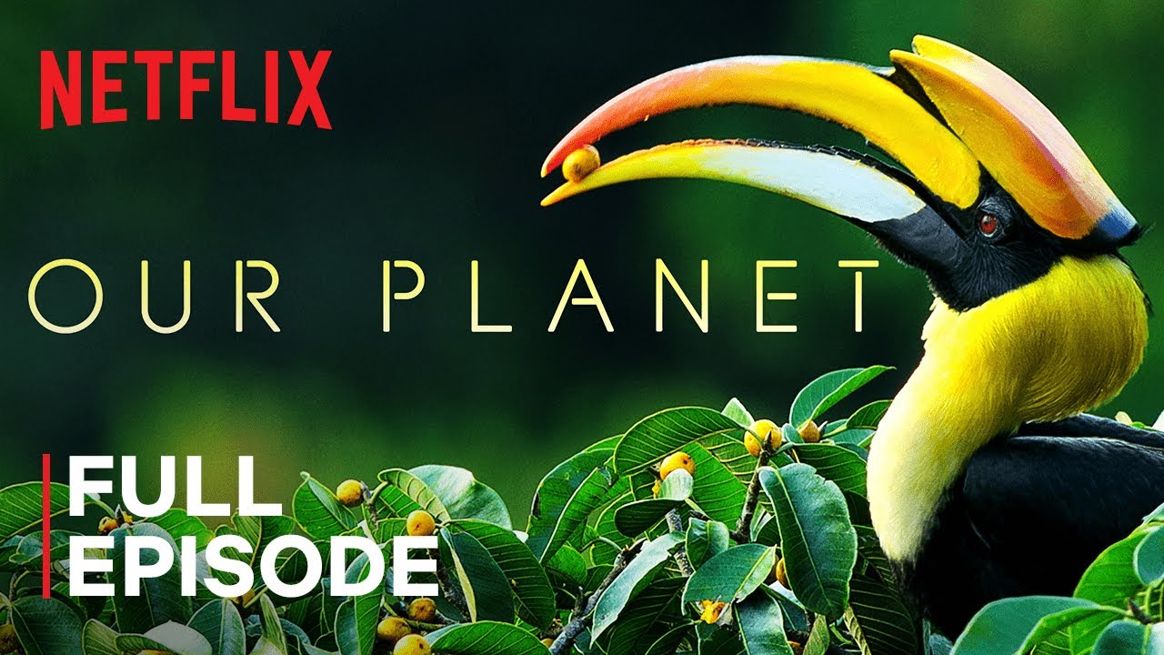 Наша Планета ⁄ Our Planet ⁄ Леса ⁄ Netflix
