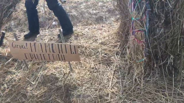 Бакшевская масленица 2020 прибытие смотреть онлайн