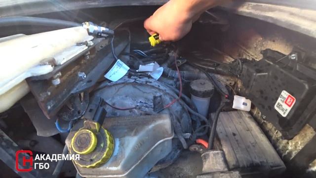 Теплые тенденции