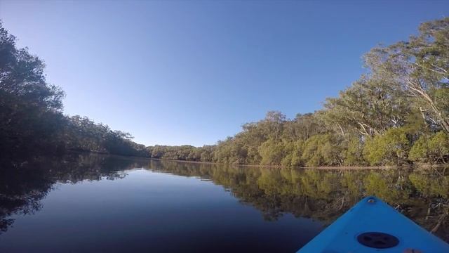 Australia week 4: Coffs Harbour смотреть онлайн