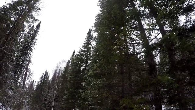 ЗИМНИЙ КОСТЁР РАЗВЕДЧИКА ДАКОТА ПОД СНЕГОМ. смотреть онлайн