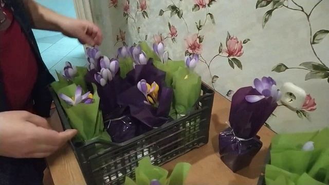 Оранжерея на балконе смотреть онлайн