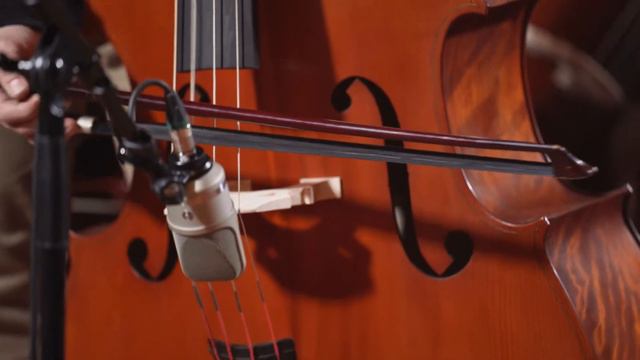 Kontrabas Rudolph RB-234 смотреть онлайн