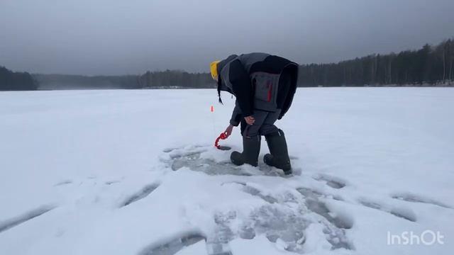 Отлично порыбачили !!! Отдых на природе семьей. Беларусь. Зимняя рыбалка на жерлицы и удочки. смотреть онлайн