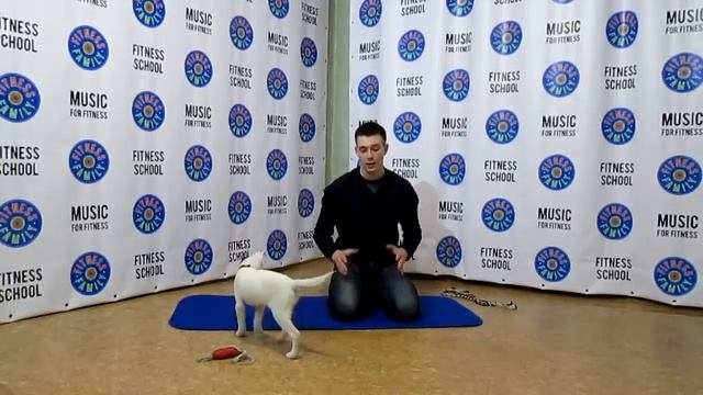 Воспитание щенка Джек Рассел терьер смотреть онлайн