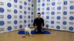 Воспитание щенка Джек Рассел терьер