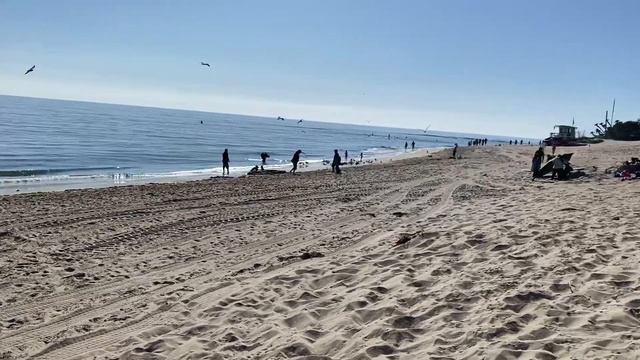 Etan Does LA #64: Surfrider Beach (Malibu) | Los Angeles history смотреть онлайн