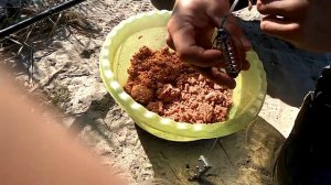 РЫБАЛКА НА ДОНУ. Снасть и прикормка на ПЕЛЕНГАСА. Обзор оснастки на пеленгаса