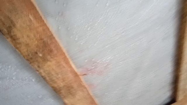 Конденсат на крыше из профнастила(баня)