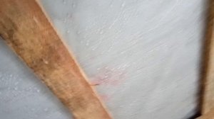 Конденсат на крыше из профнастила(баня)