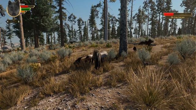 The HIDDEN Stories of the Wild!! ? WOLF QUEST 3: Wild New World • #3 смотреть онлайн