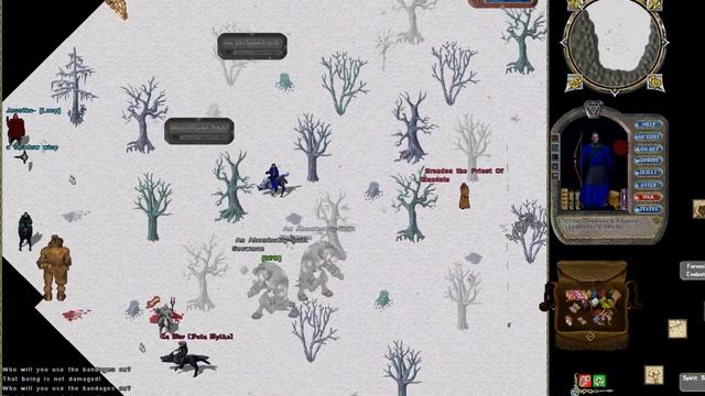 Ultima Online Demise Epic battle for Christmas boss смотреть онлайн