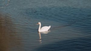 Обзор отеля Tizdar Family Resort & Spa