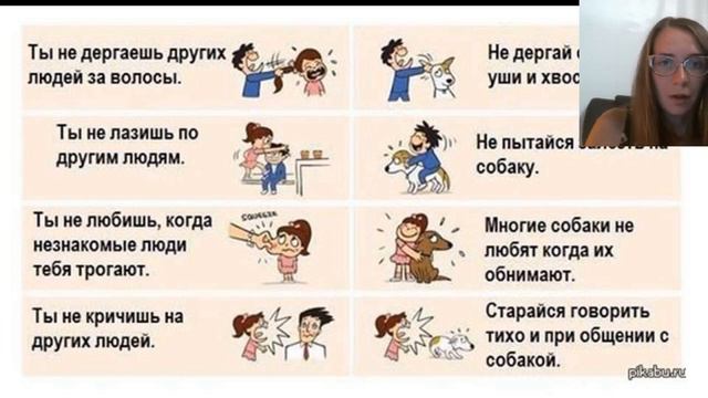 правила общения c собакой. а вы знали? смотреть онлайн