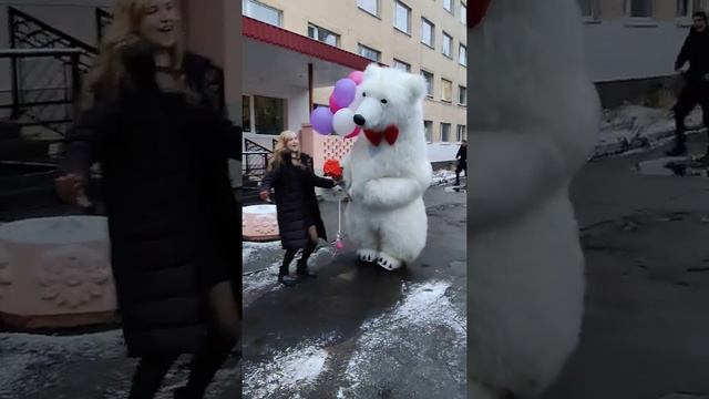 Поздравление белого большого медведя с днем рождения для племяницы смотреть онлайн