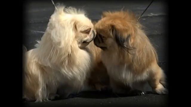 Жизнь прекрасна... смотреть онлайн