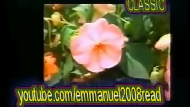 Yole Derose - Mon Amour смотреть онлайн