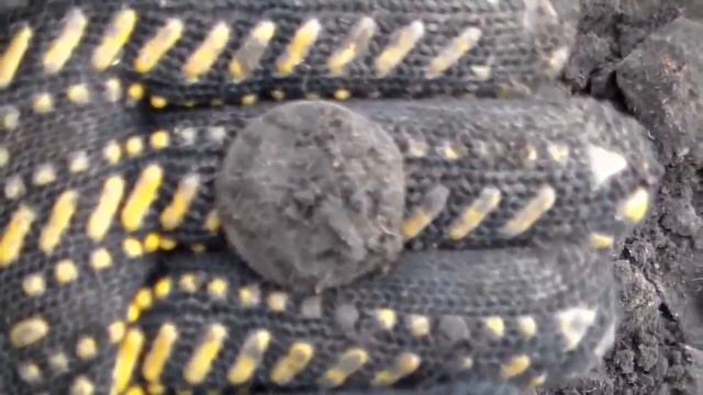 В поисках золота,высохшая река смотреть онлайн