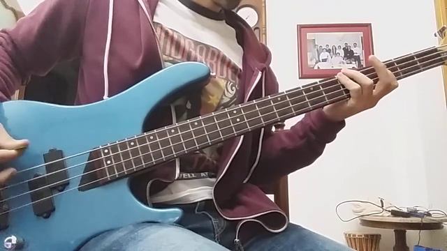 Blood and Thunder - Mastodon (Raw Bass Cover) смотреть онлайн